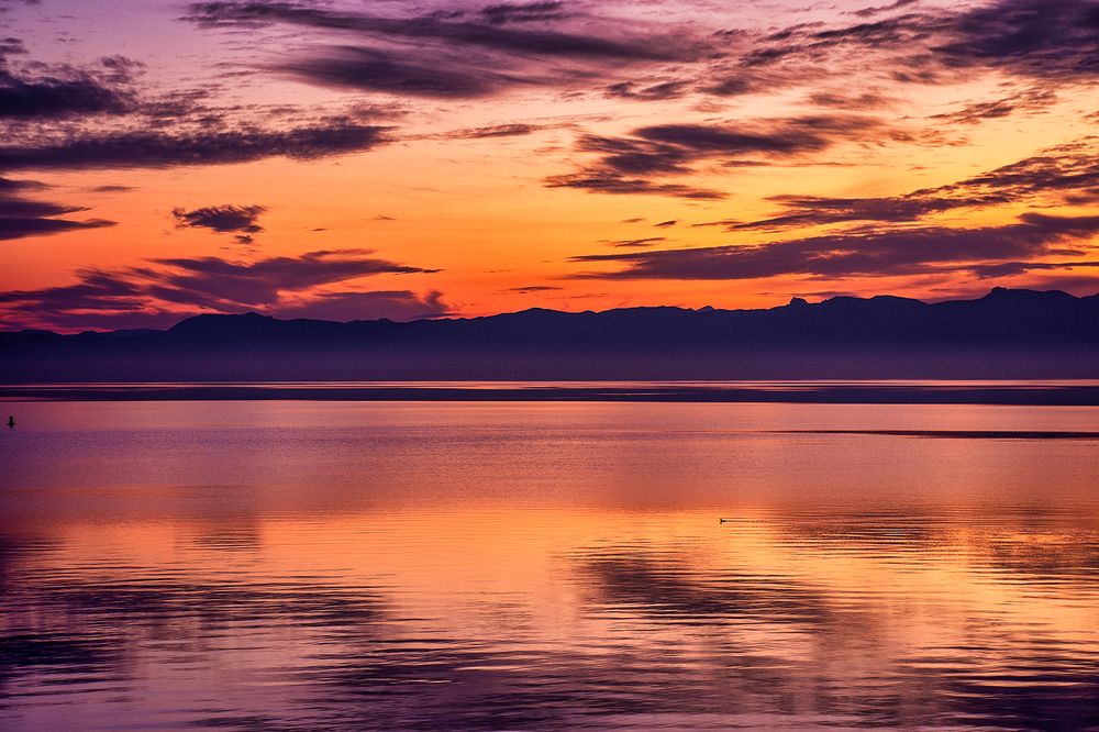 Photograph by Stojan Saveski