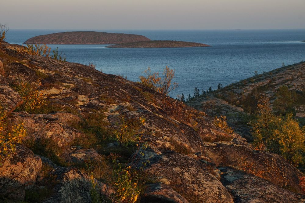 Photograph by Лена Максимкина