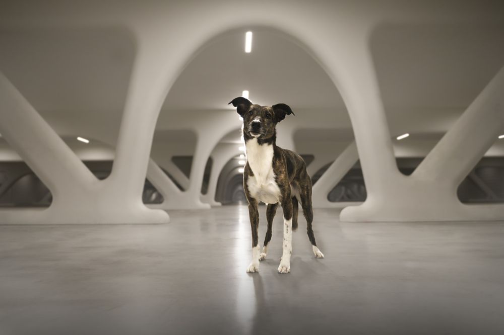 Photograph by Decoodt Els