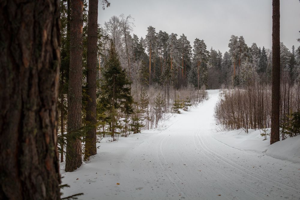 Photograph by Олег Филипенко