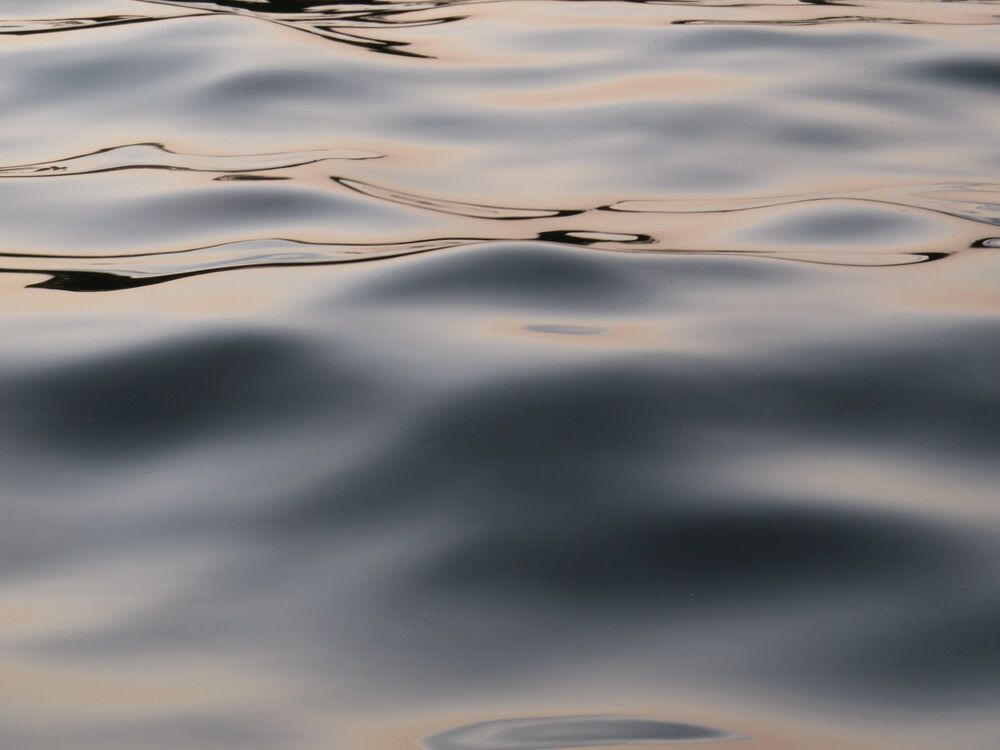 Photograph by SERGIO NORBERTO JUNIOR