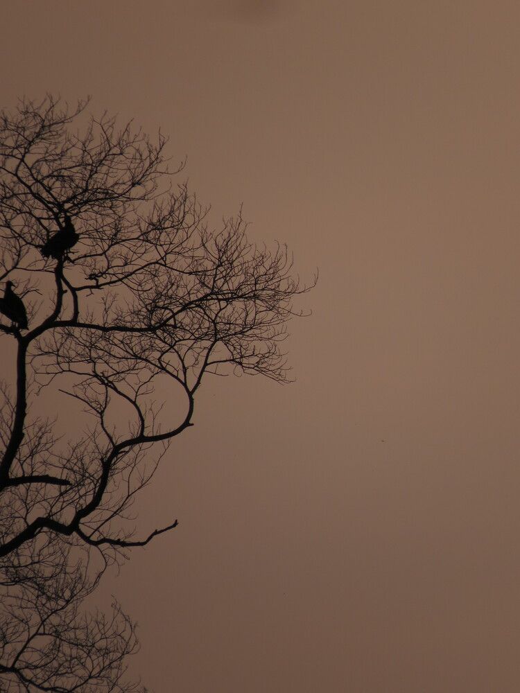 Photograph by SERGIO NORBERTO JUNIOR