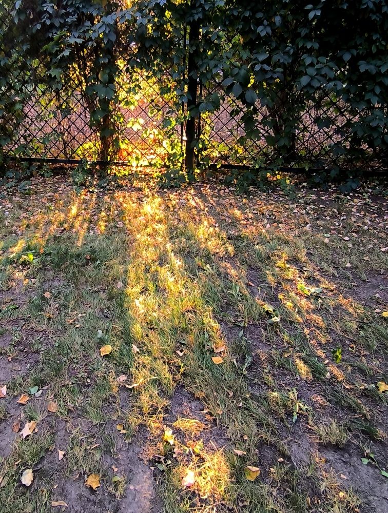 Photograph by Альфия Кобзева