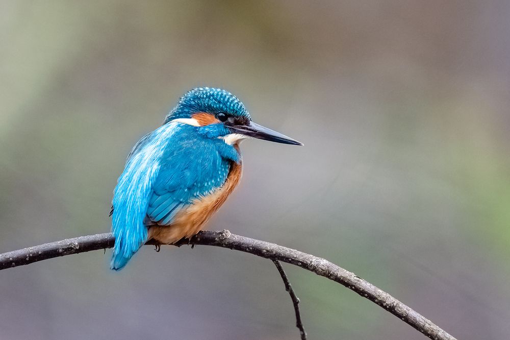 Photograph by Абросимов Александр