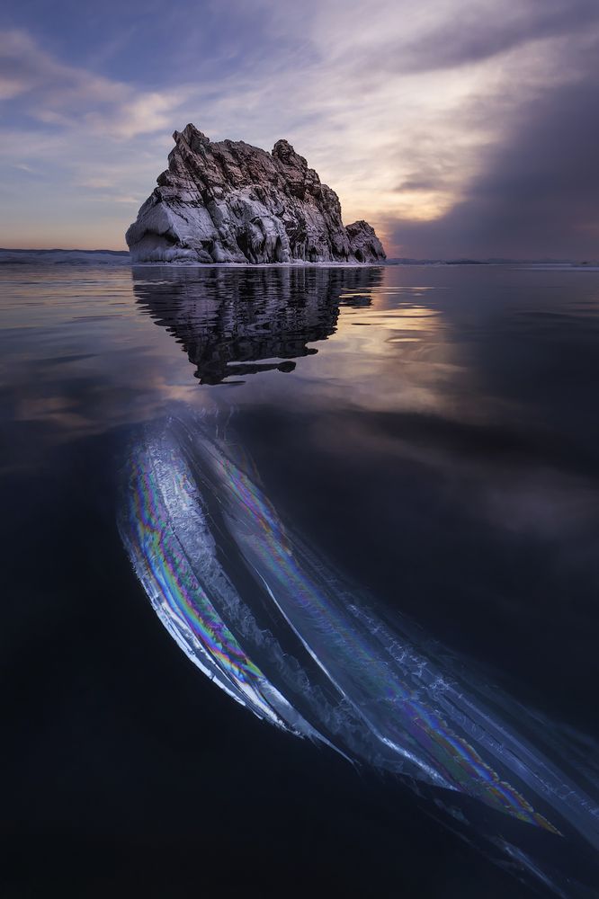 Крыло Жар-птицы