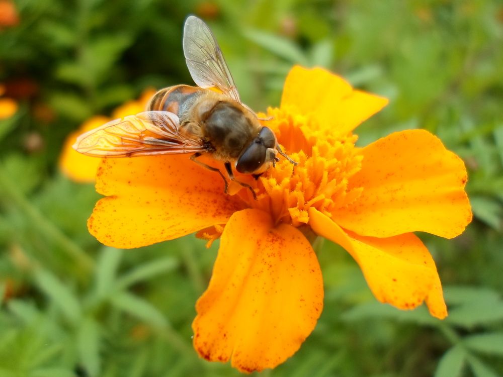 Photograph by Михаил Сербаев