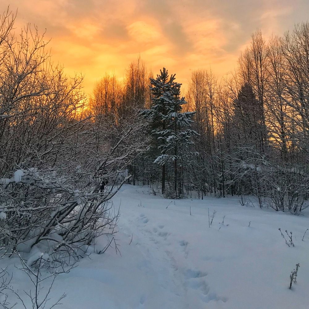 Photograph by Наталья Тарабычина