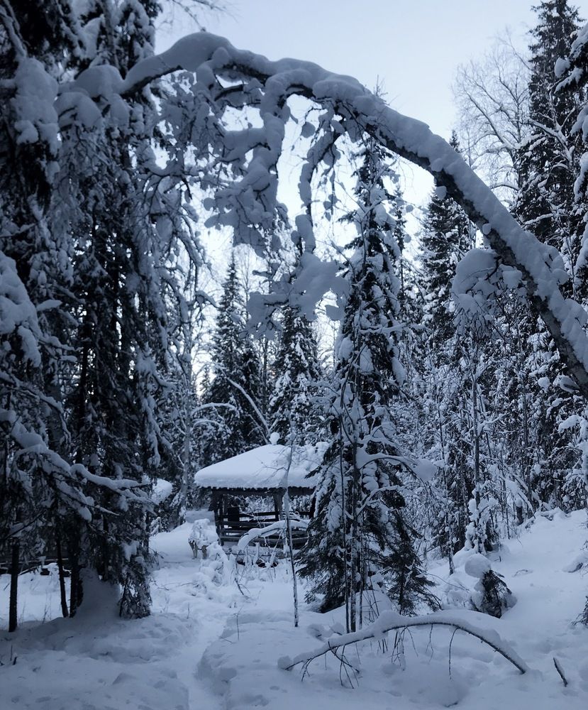 Photograph by Наталья Тарабычина