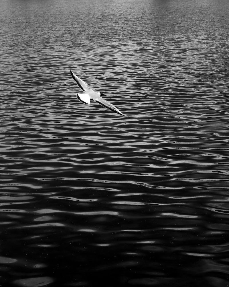 Photograph by Svetlana Savilova