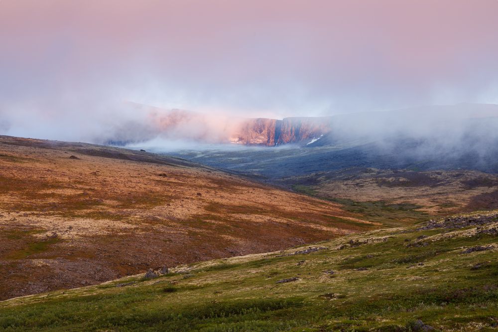 Photograph by Мария Казакова