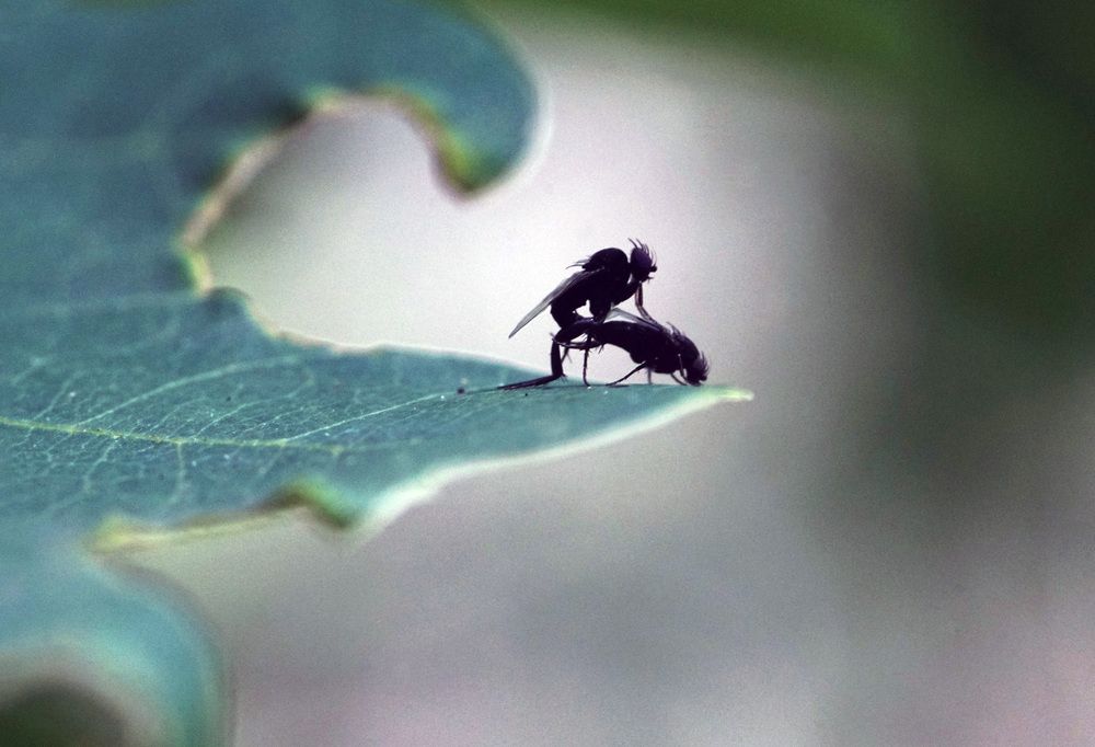 Photograph by Лена Максимкина