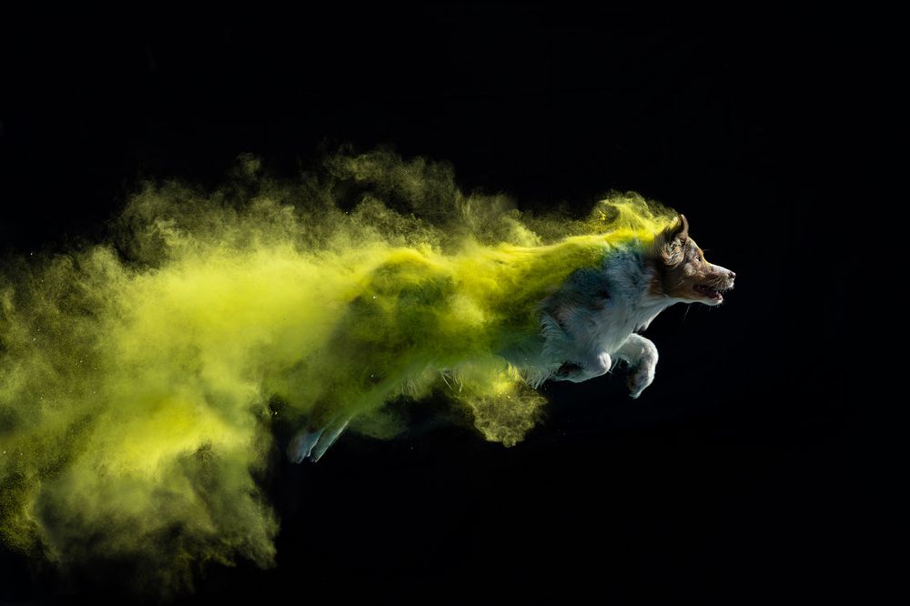 Photograph by Ирина Голомб