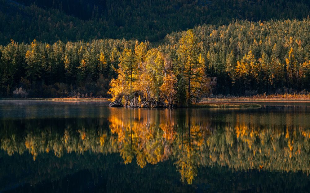 Photograph by Devender Mark