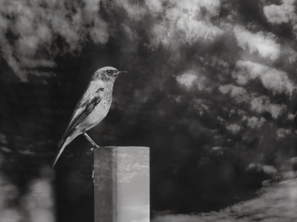 Photograph by Mila Nikolova