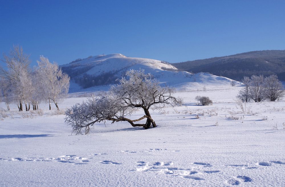 Photograph by Рашит Чумарин