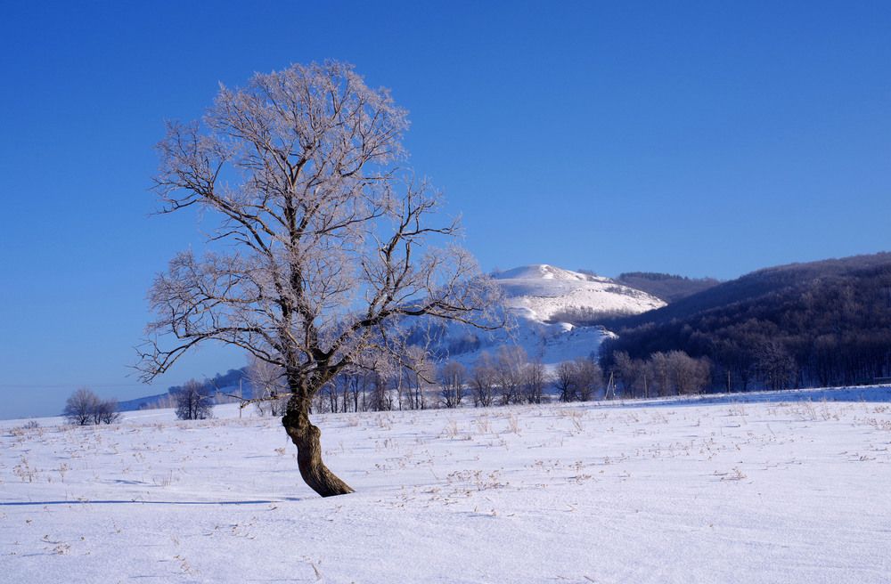 Photograph by Рашит Чумарин