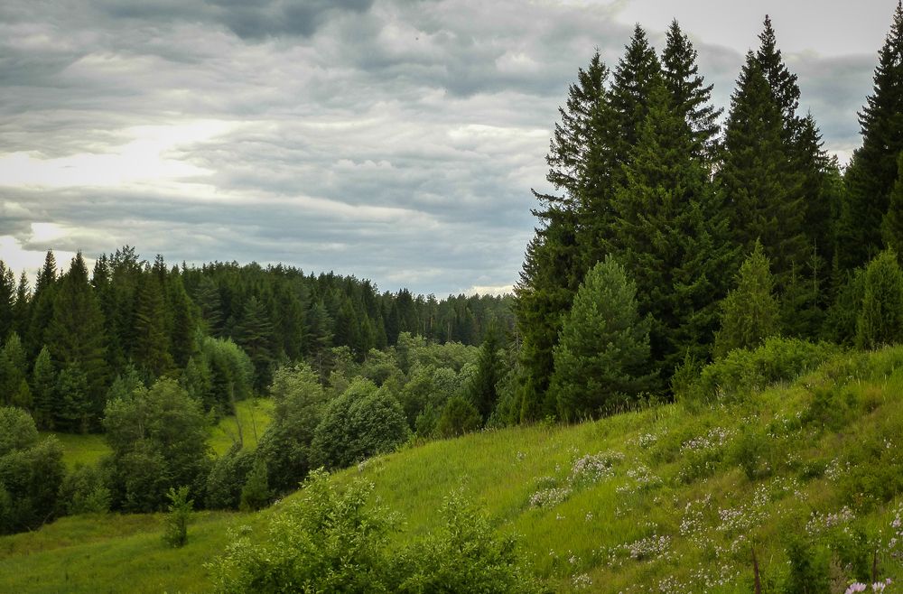 Photograph by Олег Филипенко