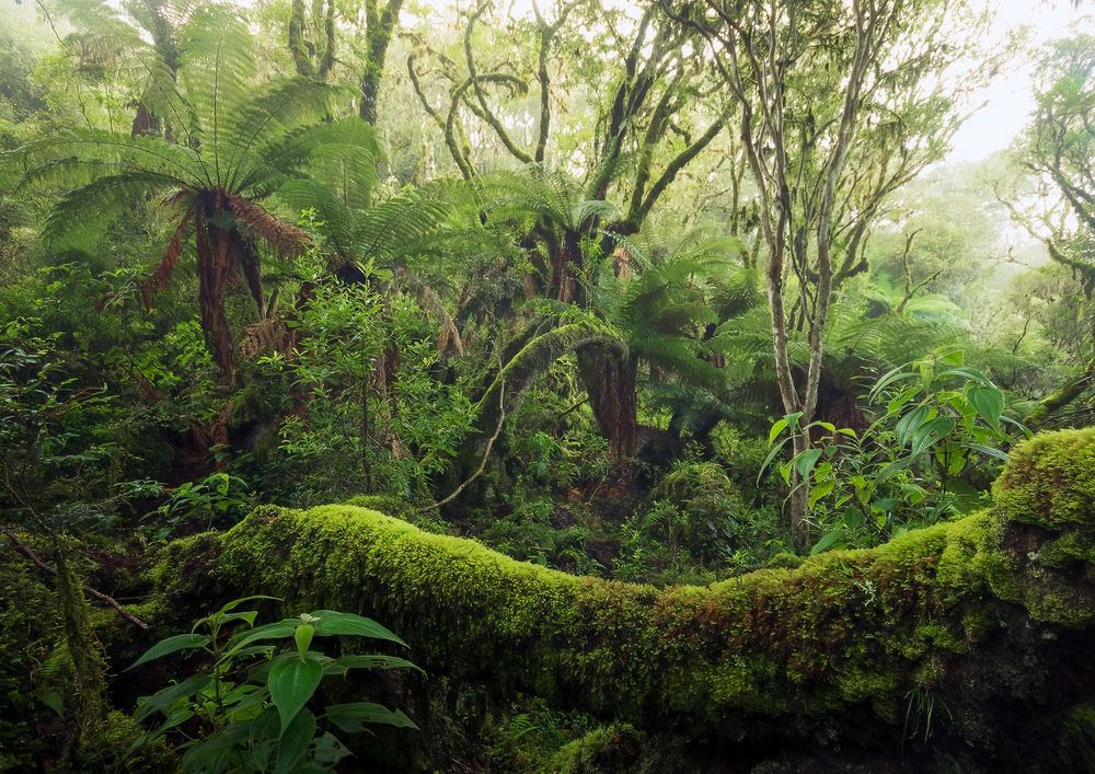 Photograph by Valdir Hobus