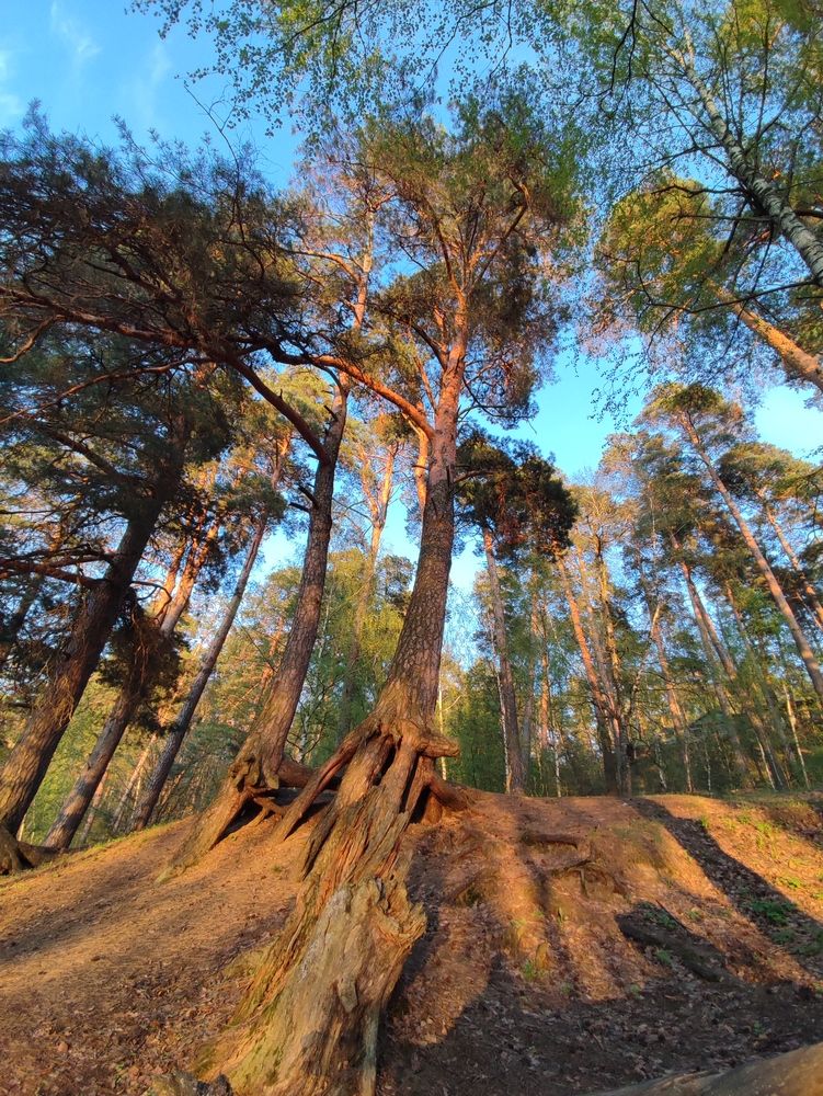 Photograph by Galina Novichkova