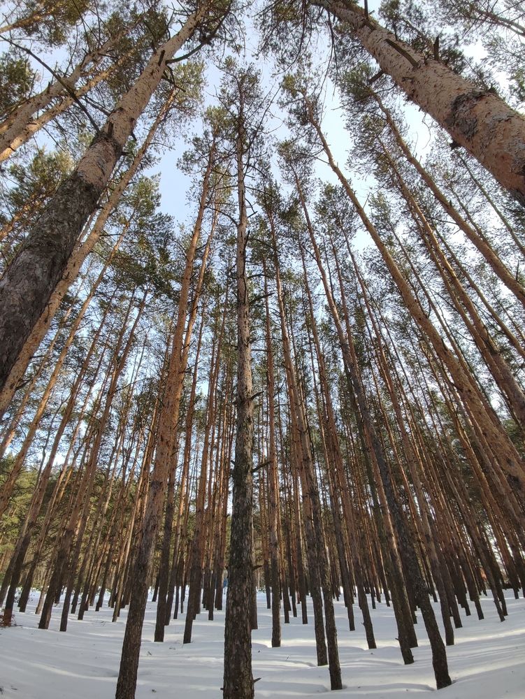 Photograph by Galina Novichkova