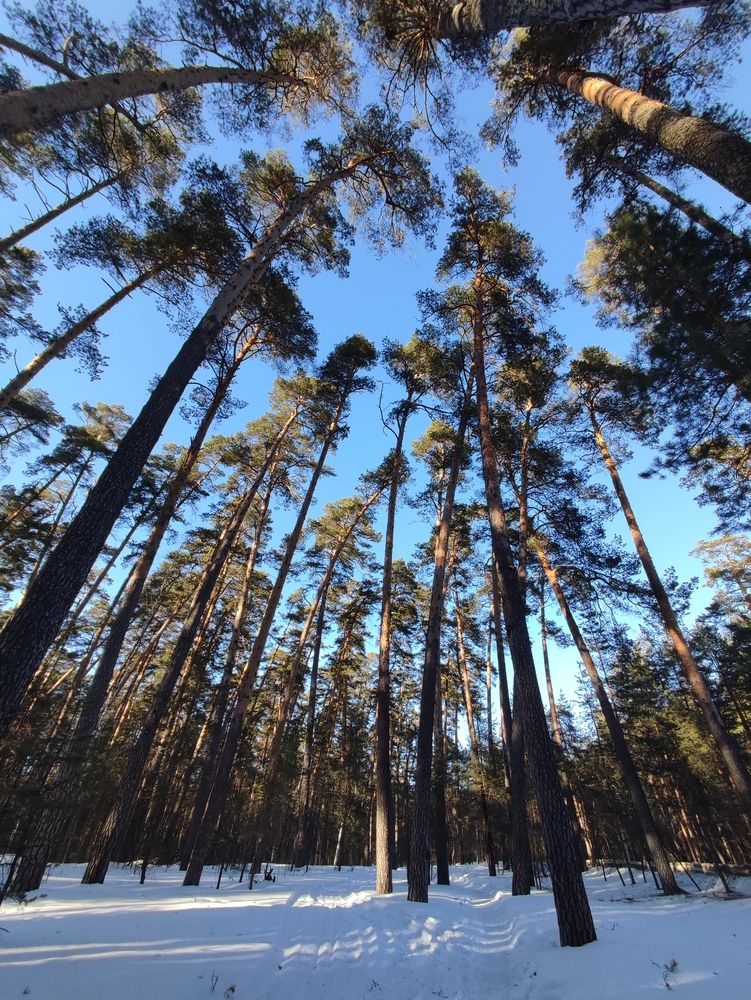 Photograph by Galina Novichkova