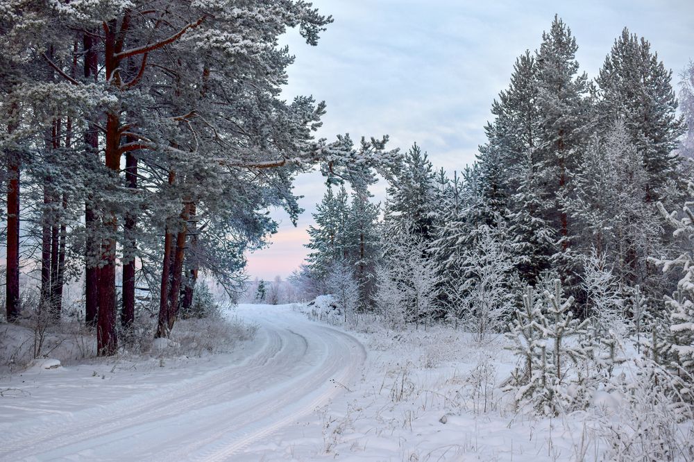 Фотография автора Оксана Льдинина