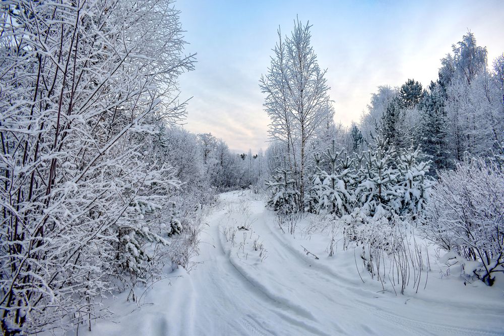 Фотография автора Оксана Льдинина
