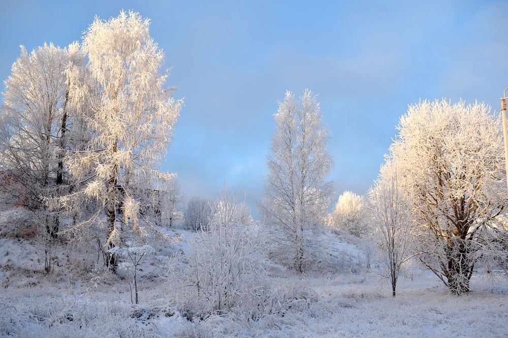 Фотография автора Оксана Льдинина