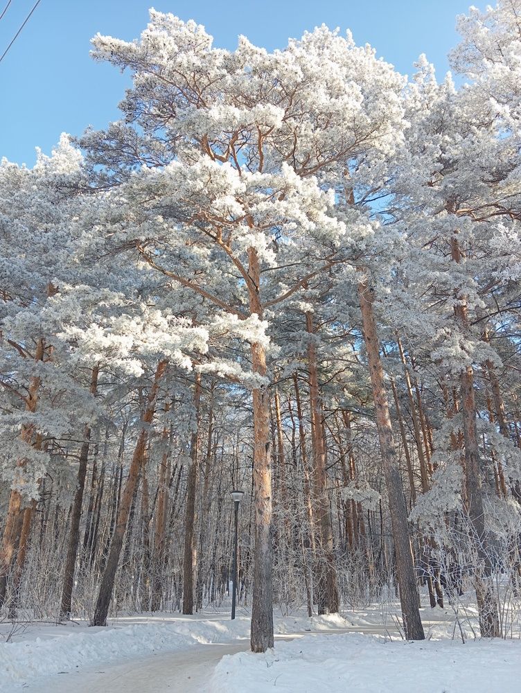 Фотография автора Оксана