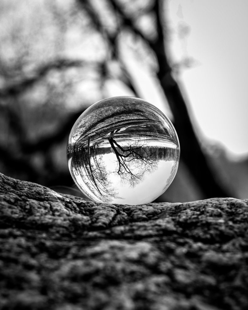 Photograph by Svetlana Savilova