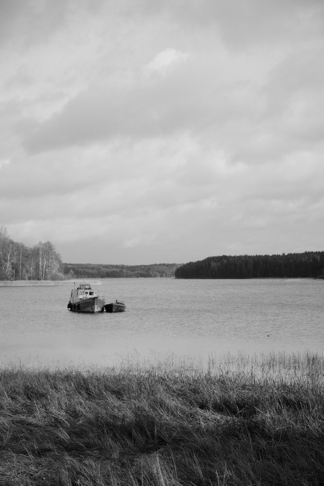 Photo #11845380