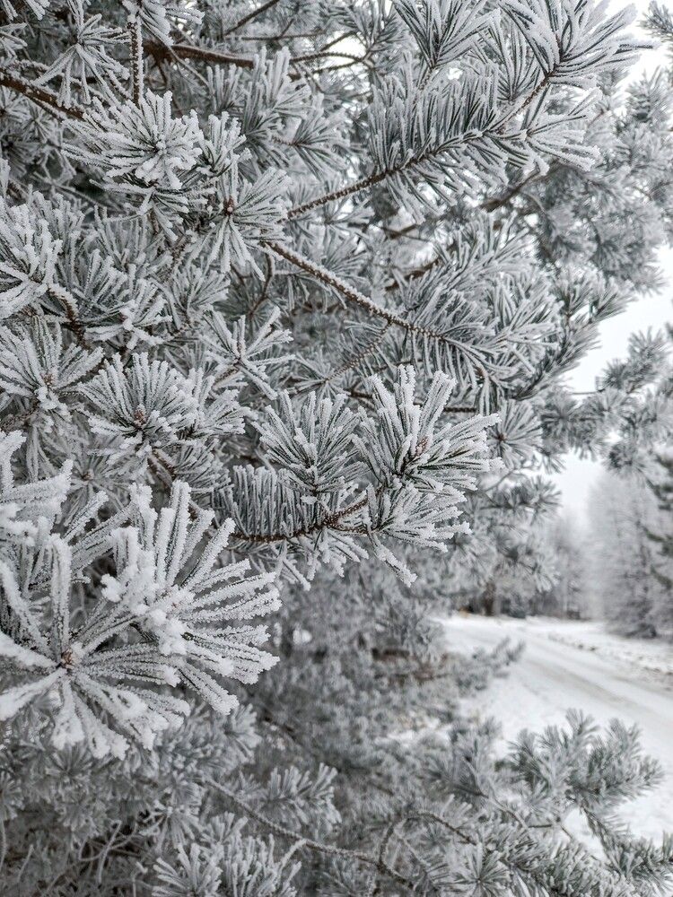 Photograph by Анна