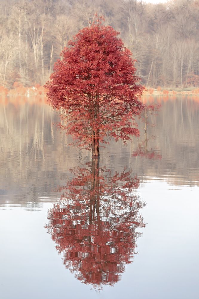 Photograph by Esmaeil rashedi