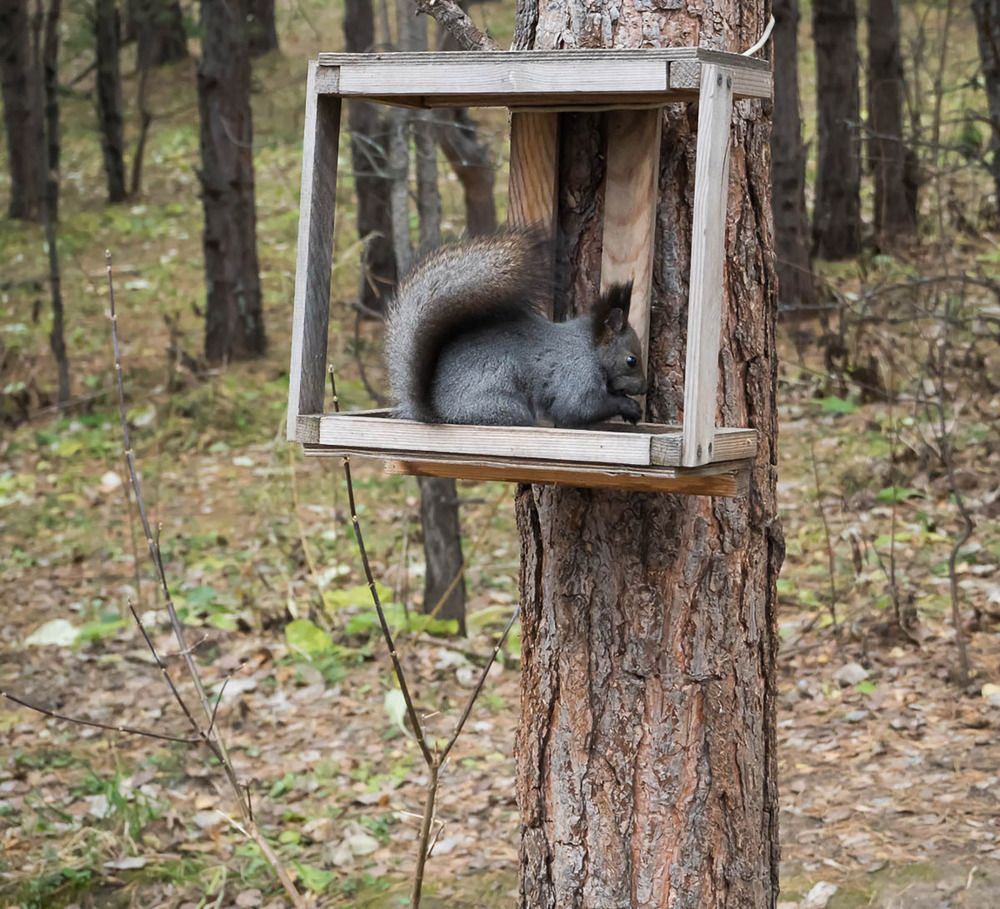 Photograph by Юлия Скачкова