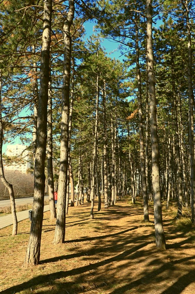 Photograph by Игорь Куленко