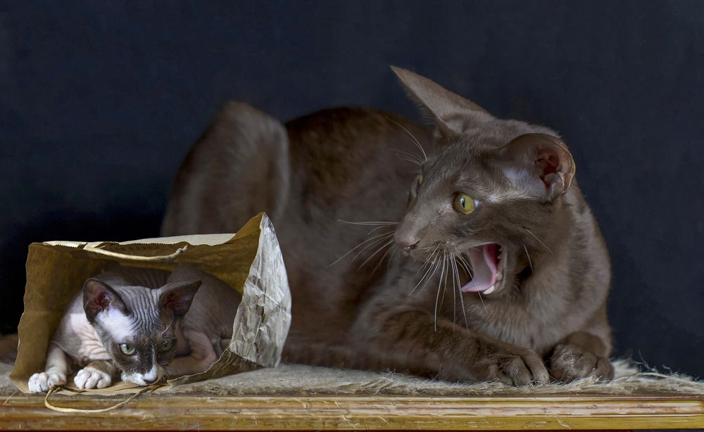 Photograph by Татьяна Феденкова