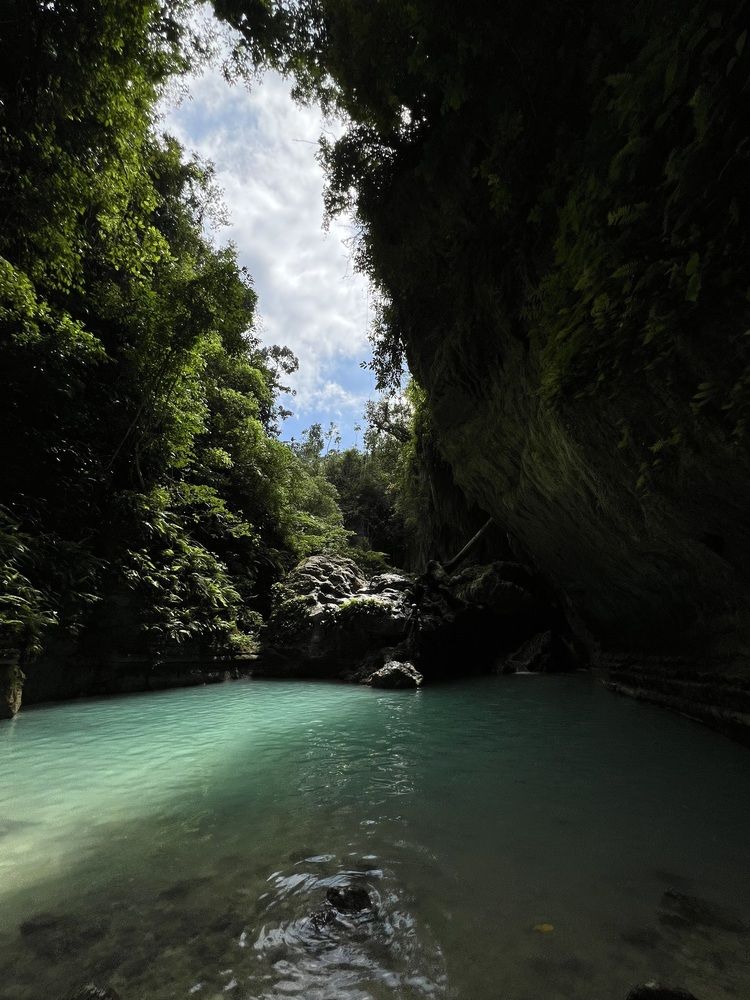 Фотография автора Юлия Костина