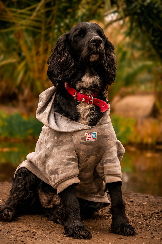 Photograph by Mariel