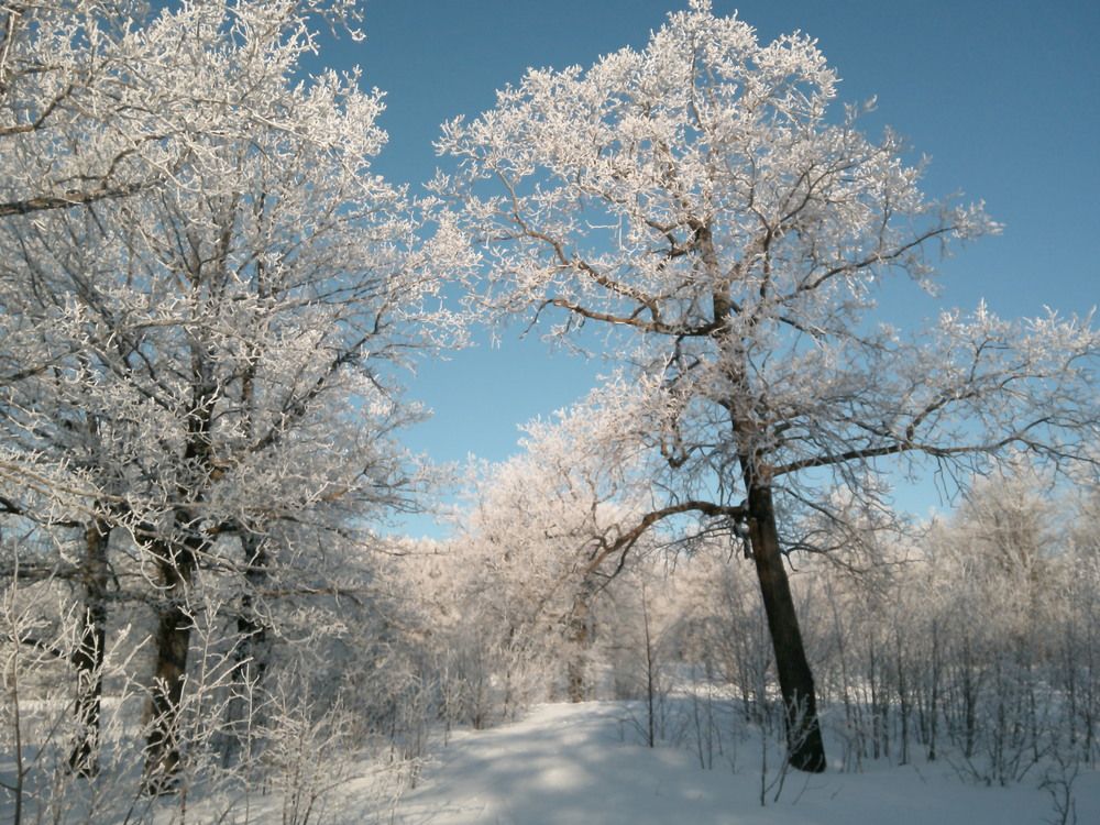 Photograph by Александр Кизим