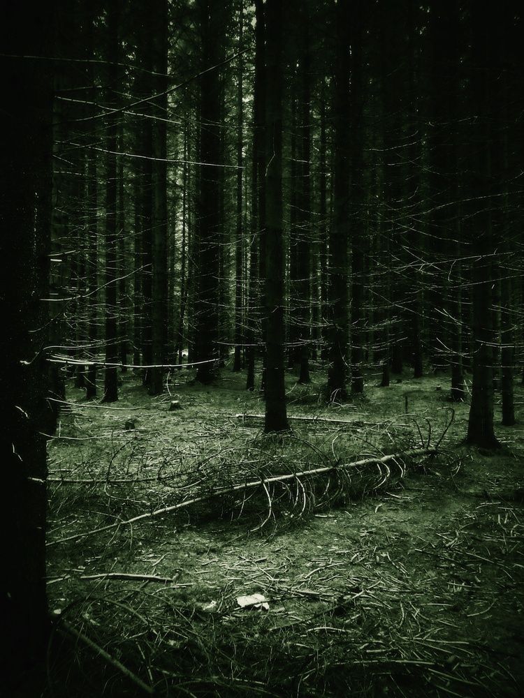 Photograph by Pucs Fongabe