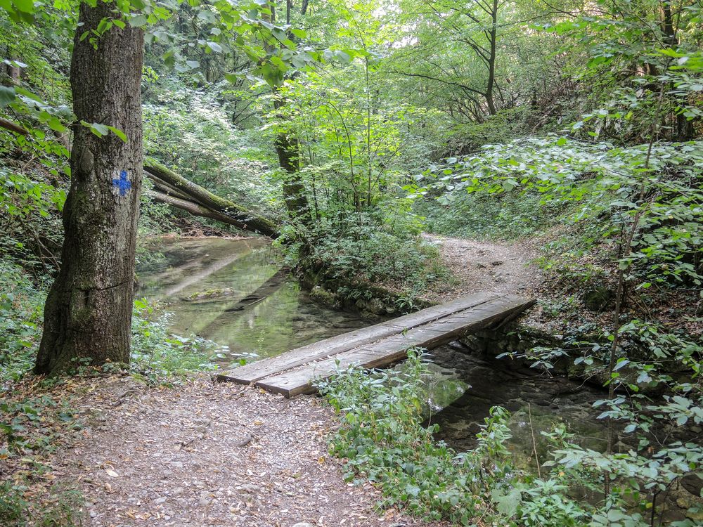 Photograph by Pucs Fongabe