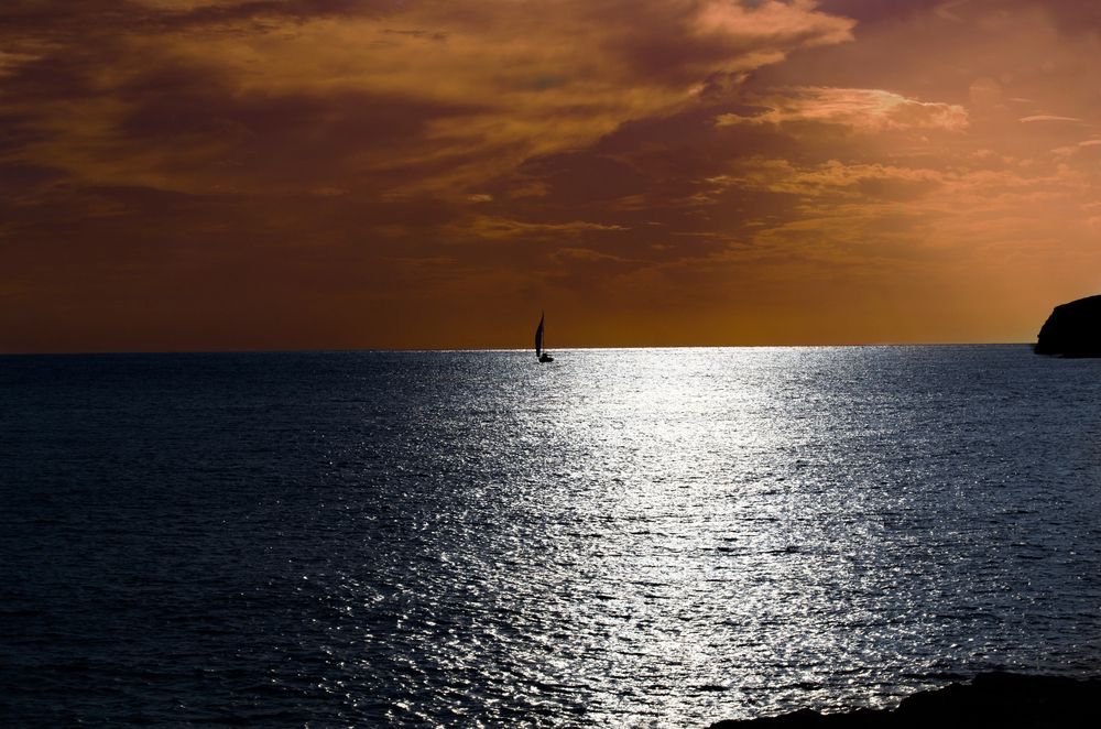 Photograph by Mariel