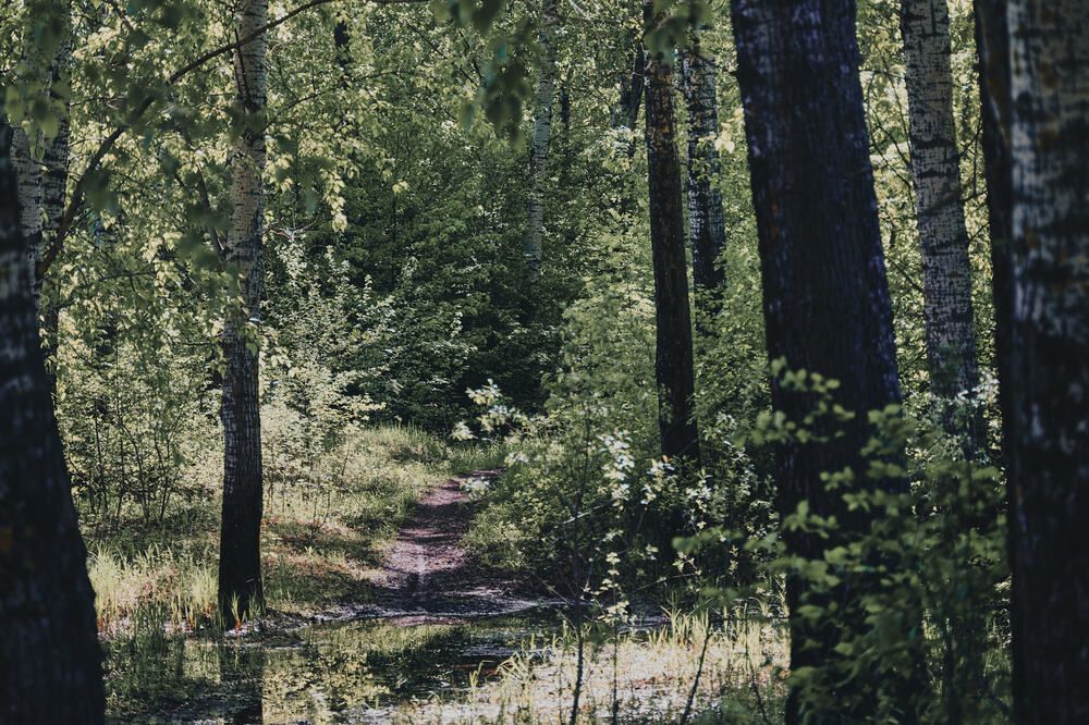 Photograph by Дмитрий Солодухин