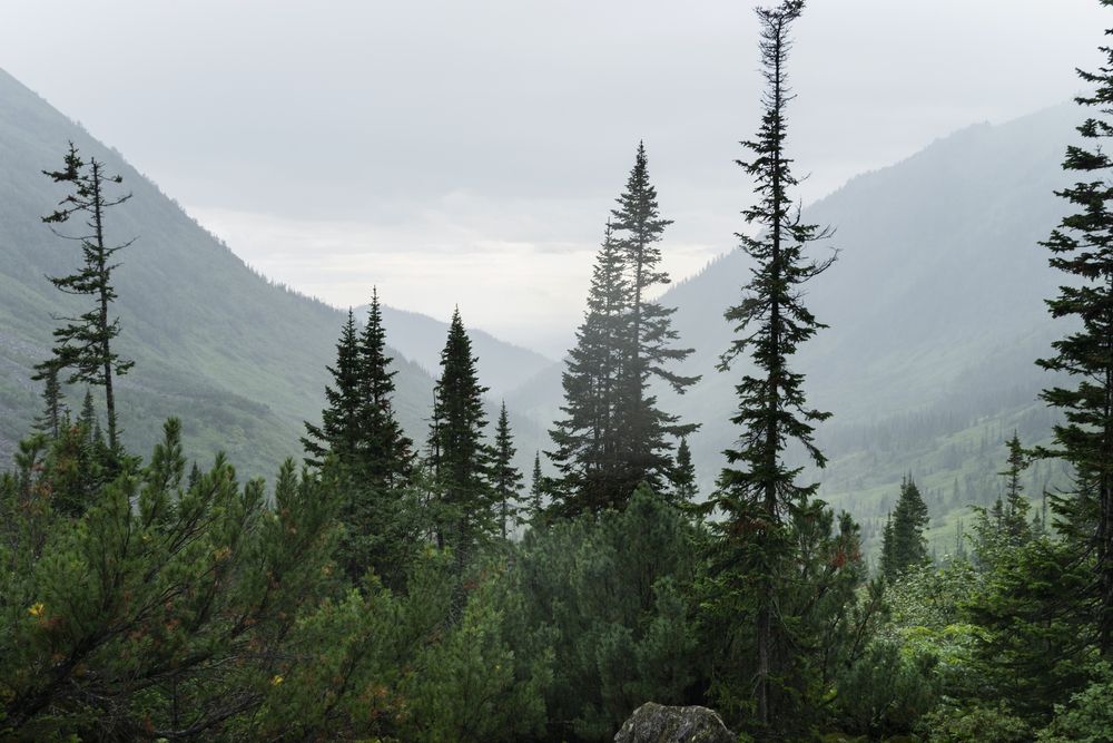 Photograph by Елена Вторушина