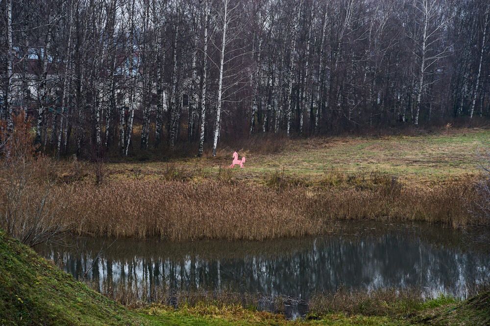 Photograph by Дмитрий Солодухин