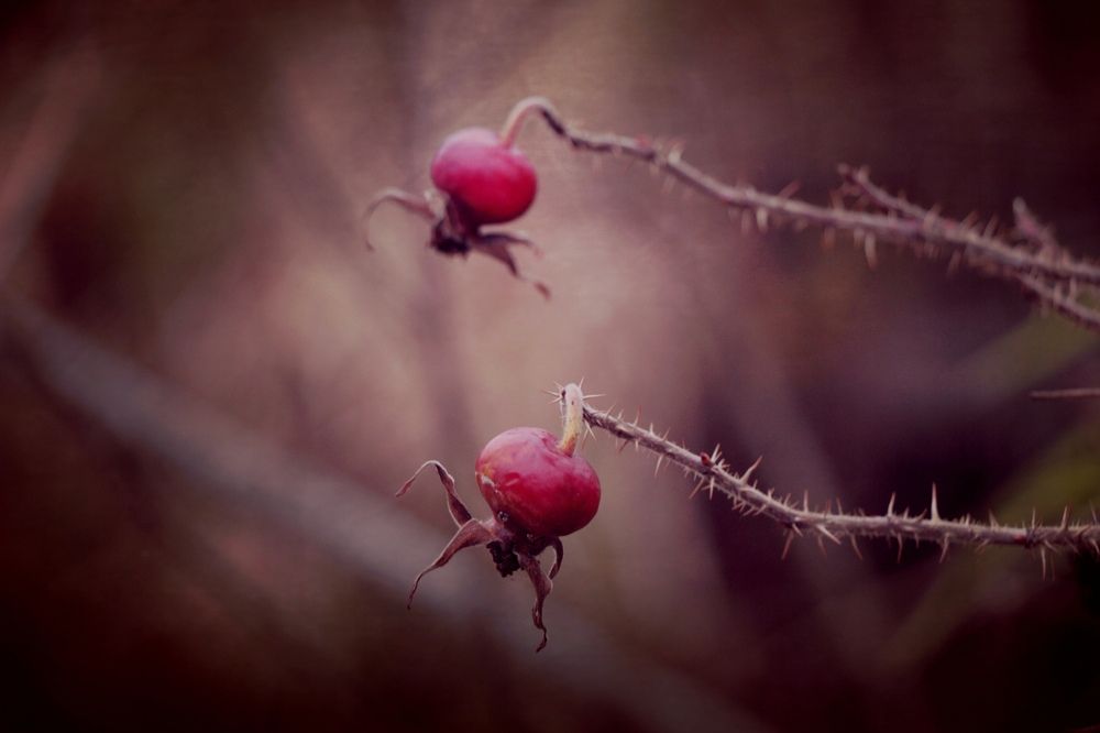 Фотография автора Ольга