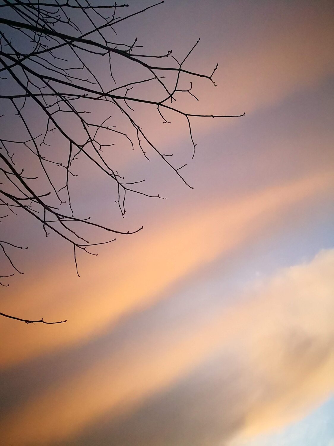 Photo #11845588