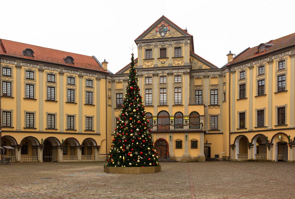 Photograph by Диана Бородзе