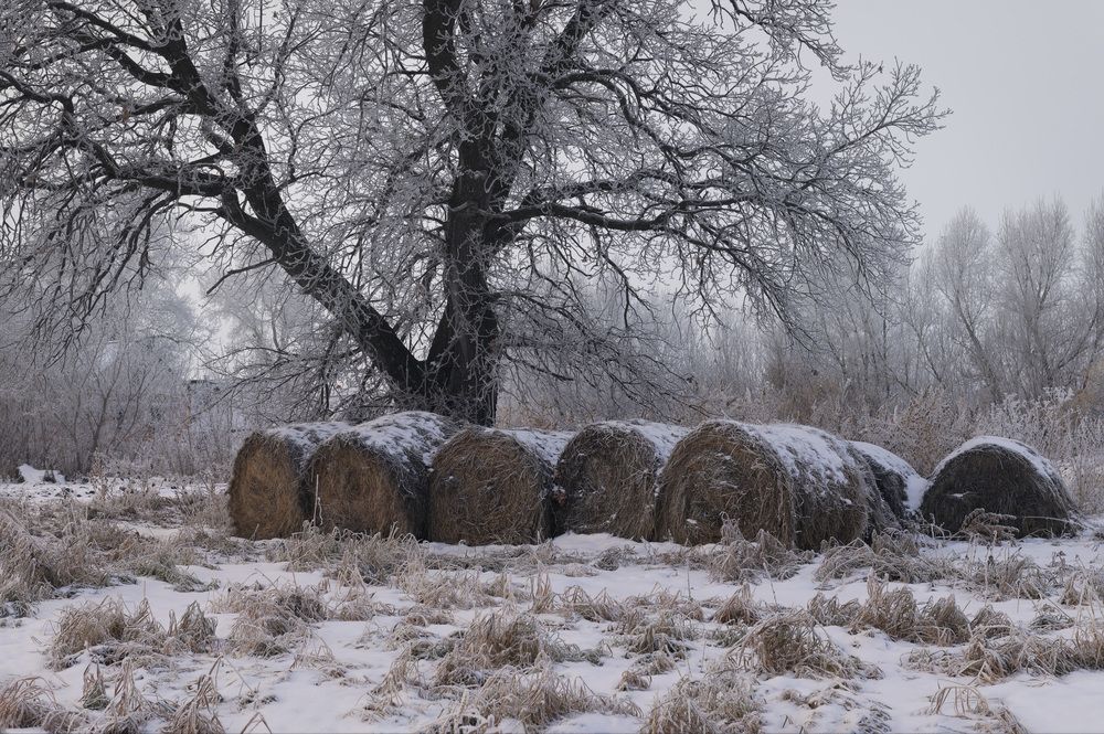 Photograph by Наталия Брянцева