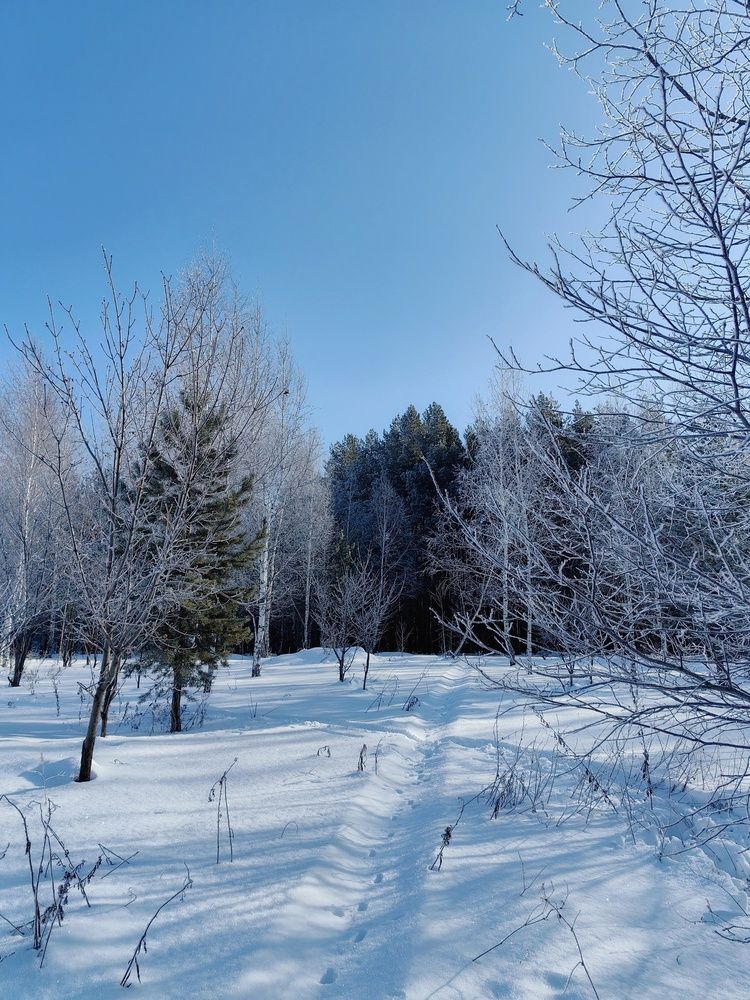 Photograph by Гульназ Шайхисламова